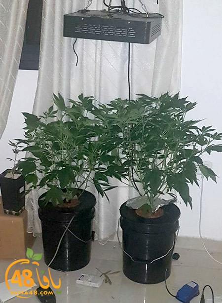 ramla mokhaadarat (1).jpg